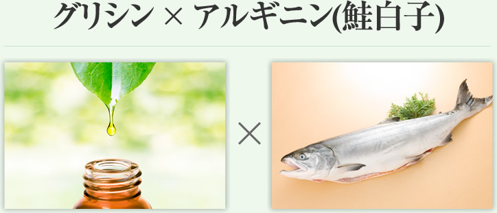 グリシン × アルギニン(鮭白子)